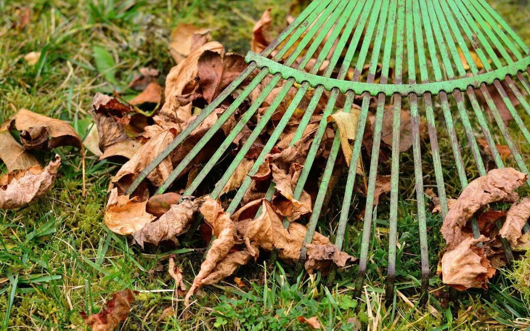 7 Tips for Landscaping in the Fall