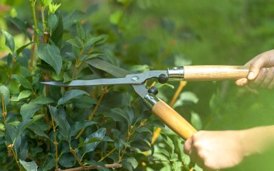 5 Summer Home Maintenance Tasks to Improve Curb Appeal