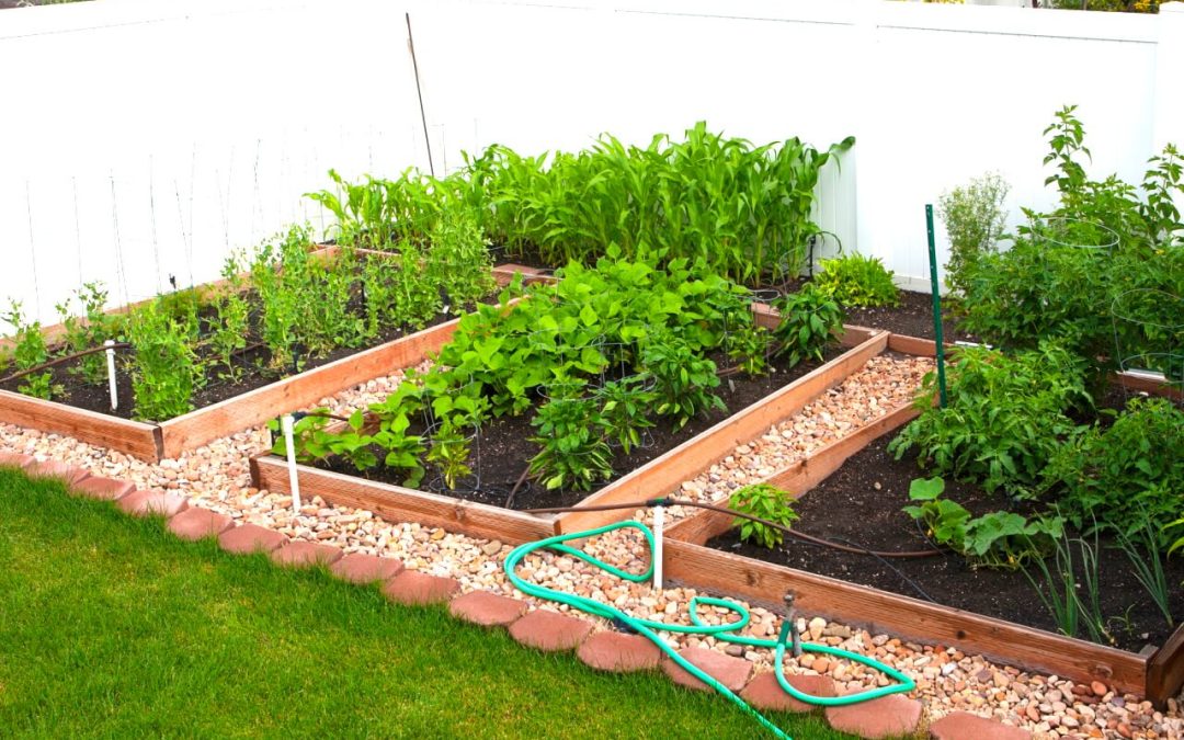 5 Tips to Prepare the Garden Beds for Spring