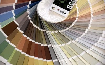 8 Basics for Choosing Paint Colors for Your Home